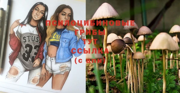 spice Вязники