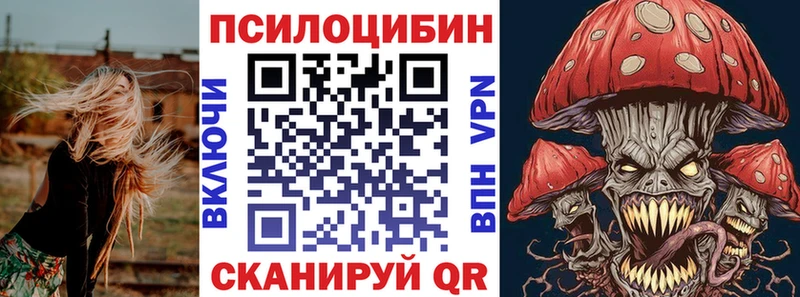 Псилоцибиновые грибы мухоморы Петровск-Забайкальский